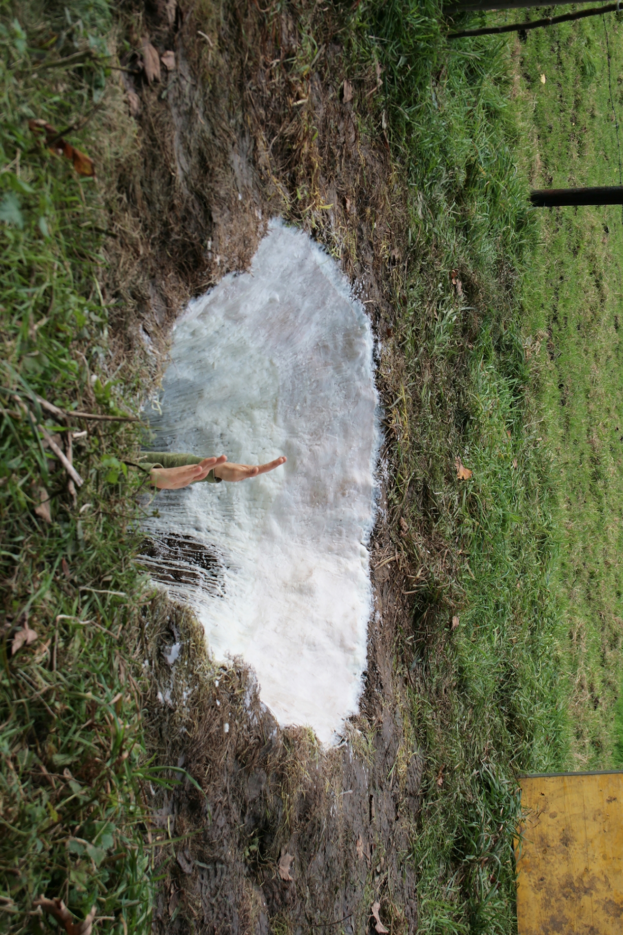 Die Aufrichtende Hand